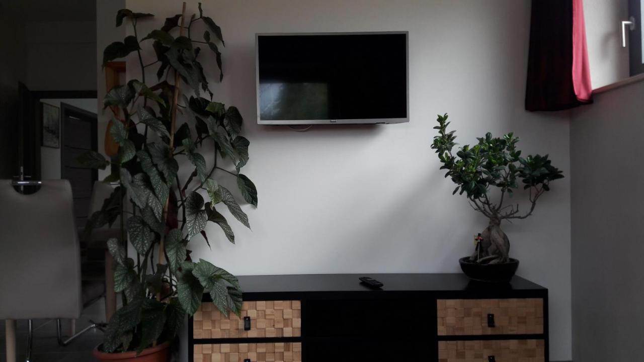 Apartment Am Eck Schmolln  ภายนอก รูปภาพ
